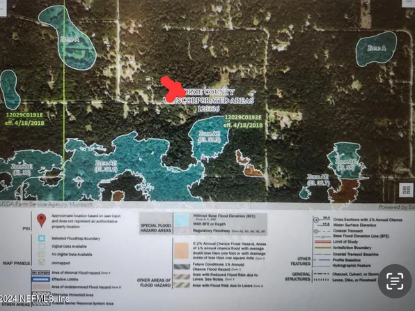 394 NE 394TH Avenue, Old Town, FL 32680