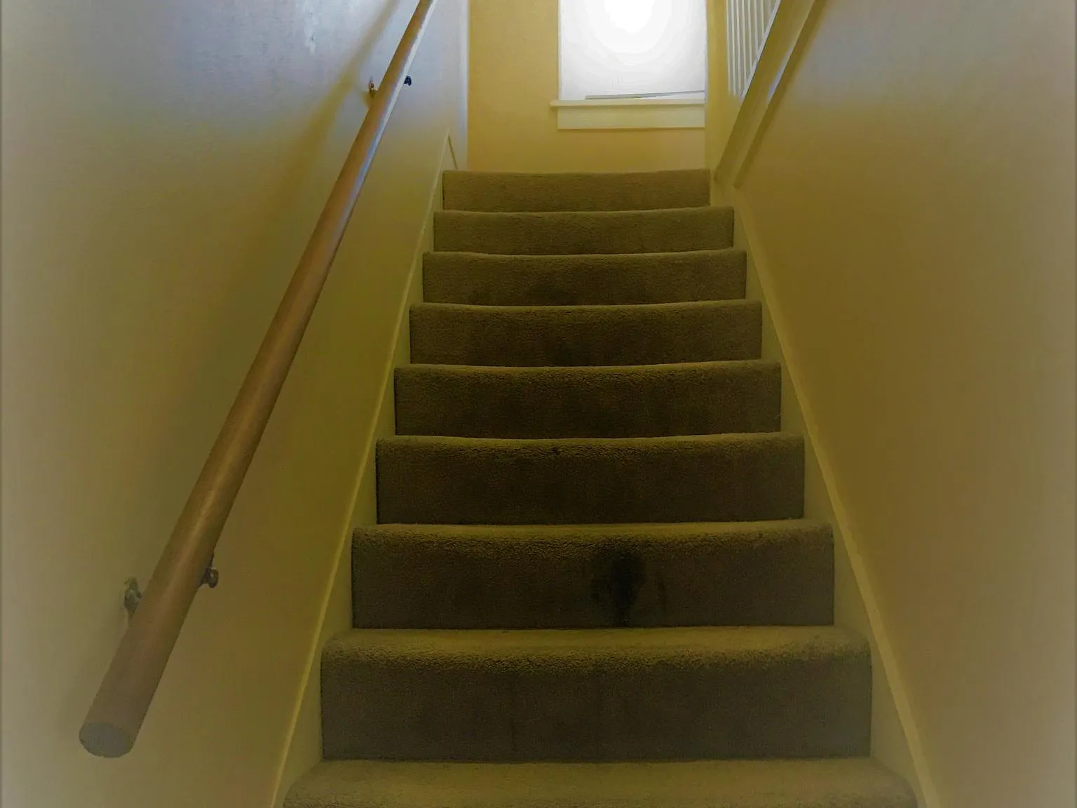 3 bed, 1.5 bath, 1300 sqft, $2,995 — Photo 4