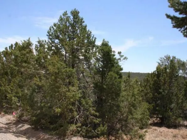 Olympio Ln, Tijeras, NM 87059