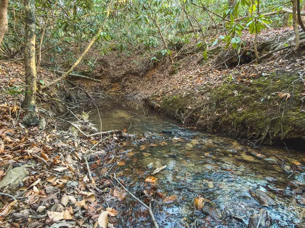 All Healing Springs Rd Lot 1, Taylorsville, NC 28681