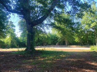 223 Shelnut Rd, Franklin, GA 30217