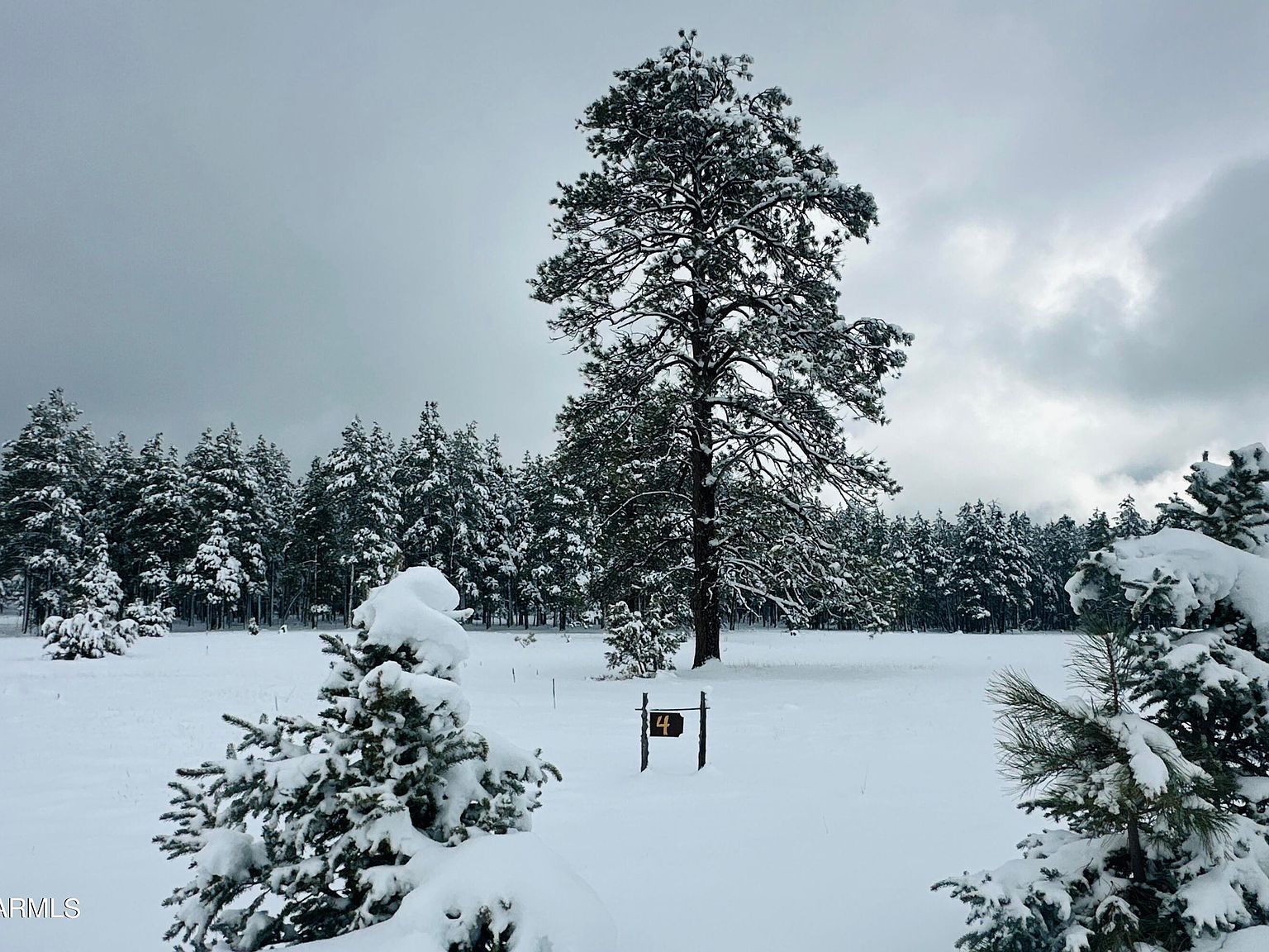 307 E Foxboro Rd LOT 4, Munds Park, AZ 86017 MLS 6601630 Zillow