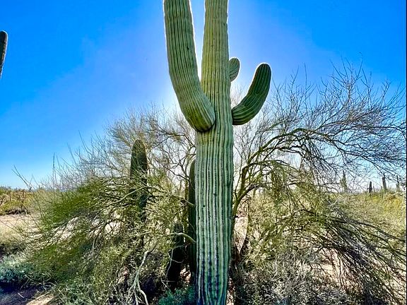5th image of 0 E Delgado Way 5 Acres -- #-