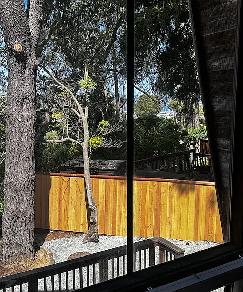 200 Buchanan Dr #1 — Photo 17