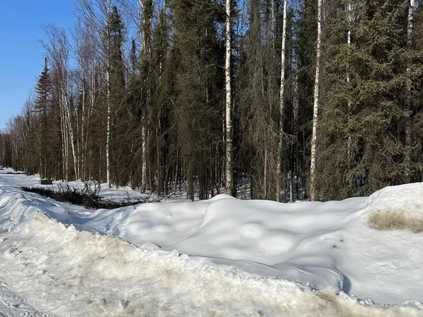 B1-L23 W Denlow Dr, Wasilla, AK 99623