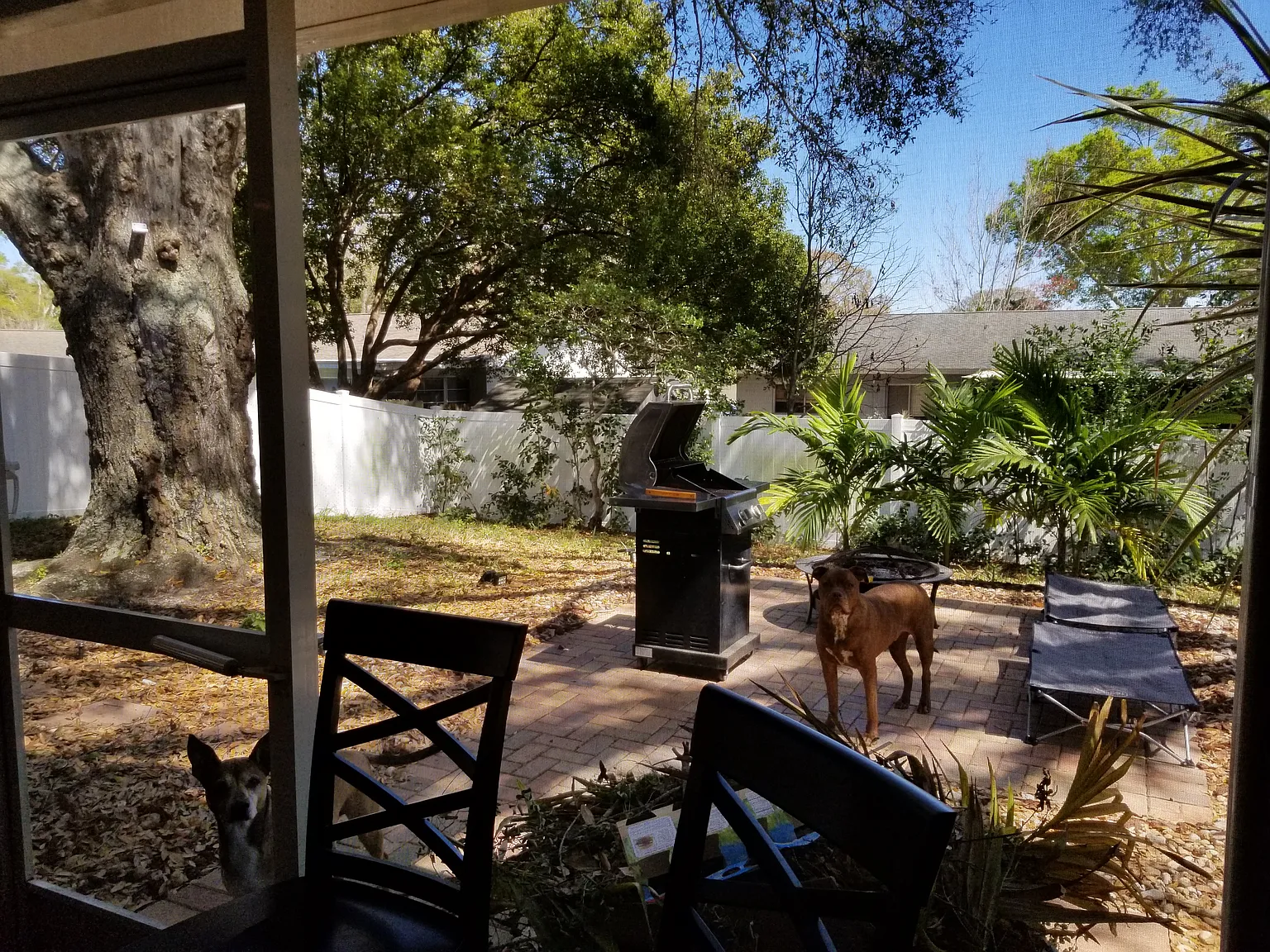 2 bed, 1172 sqft, $2,349 — Photo 2