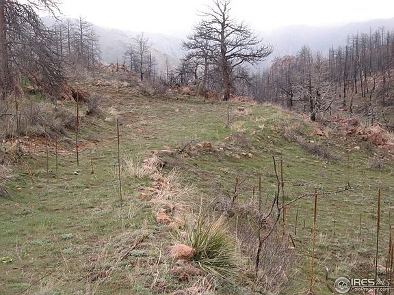2nd image of 1400 Meadow Mountain Dr