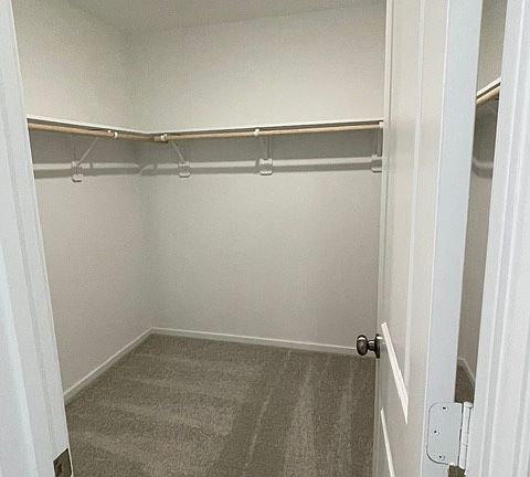 Master walk in closet