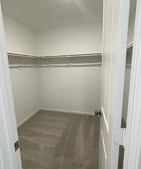 Master walk in closet