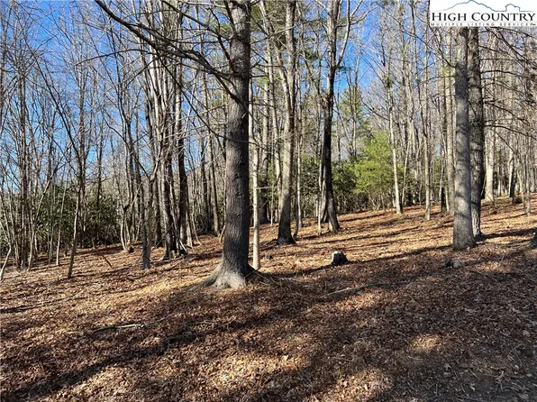 TBD Lot 35 Fox Crest Overlook, Laurel Springs, NC 28644