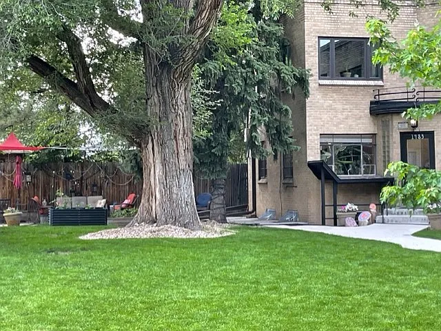 1481 Ash St #9 — Photo 11