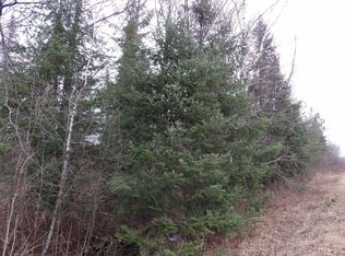 N Knapp Rd, Winter, WI 54896