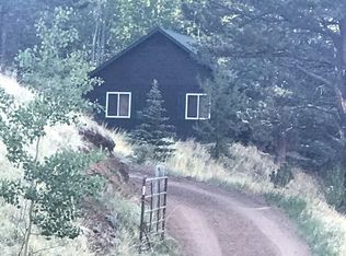 260 Beaver Pond Rd, Divide, CO 80814