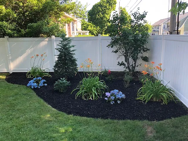 Rear Yard Entry