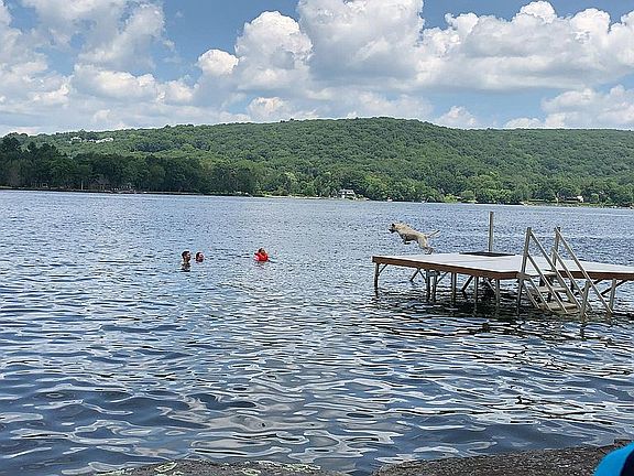 Modern Aluminum Dock