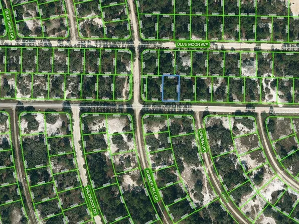 384 Jack Weisser Blvd #55, Lake Placid, FL 33852