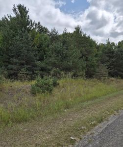 Adamson Lake Rd, Kaleva, MI, 49645