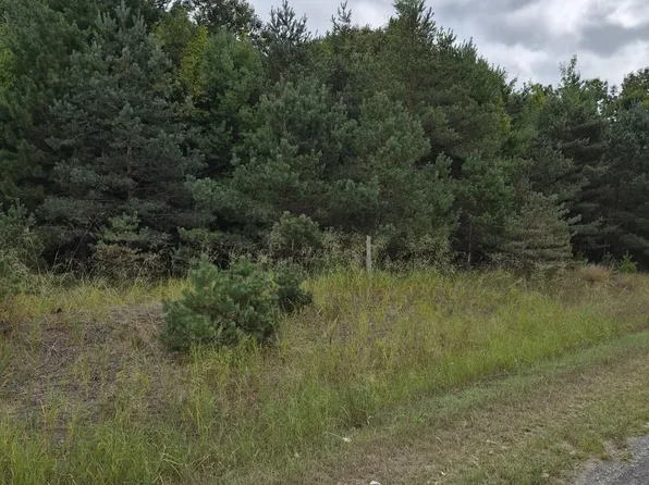 Adamson Lake Rd, Kaleva, MI 49645