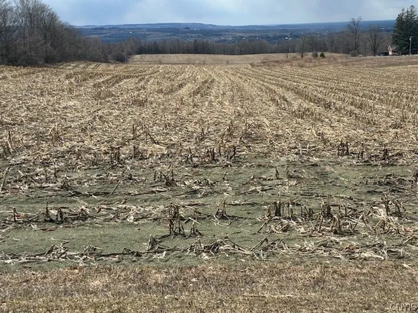 Skyline Dr Lot 1, Clinton, NY 13323