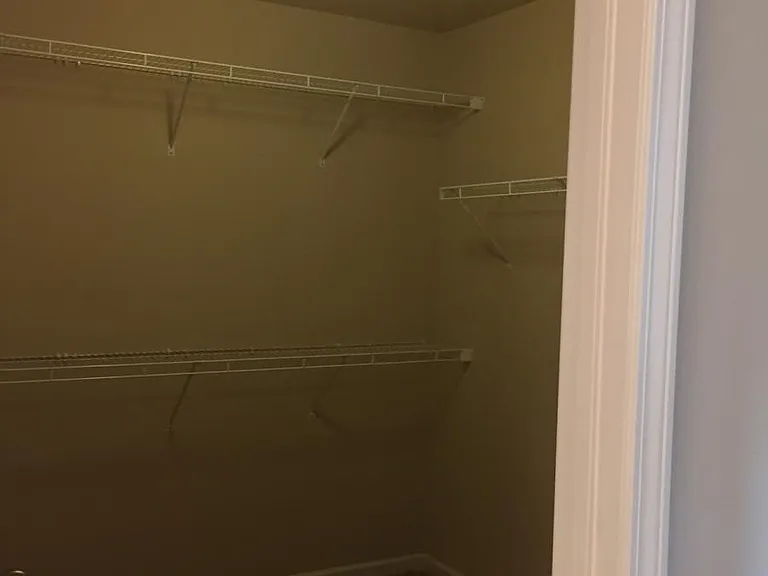 Large Walk-in closet in Master