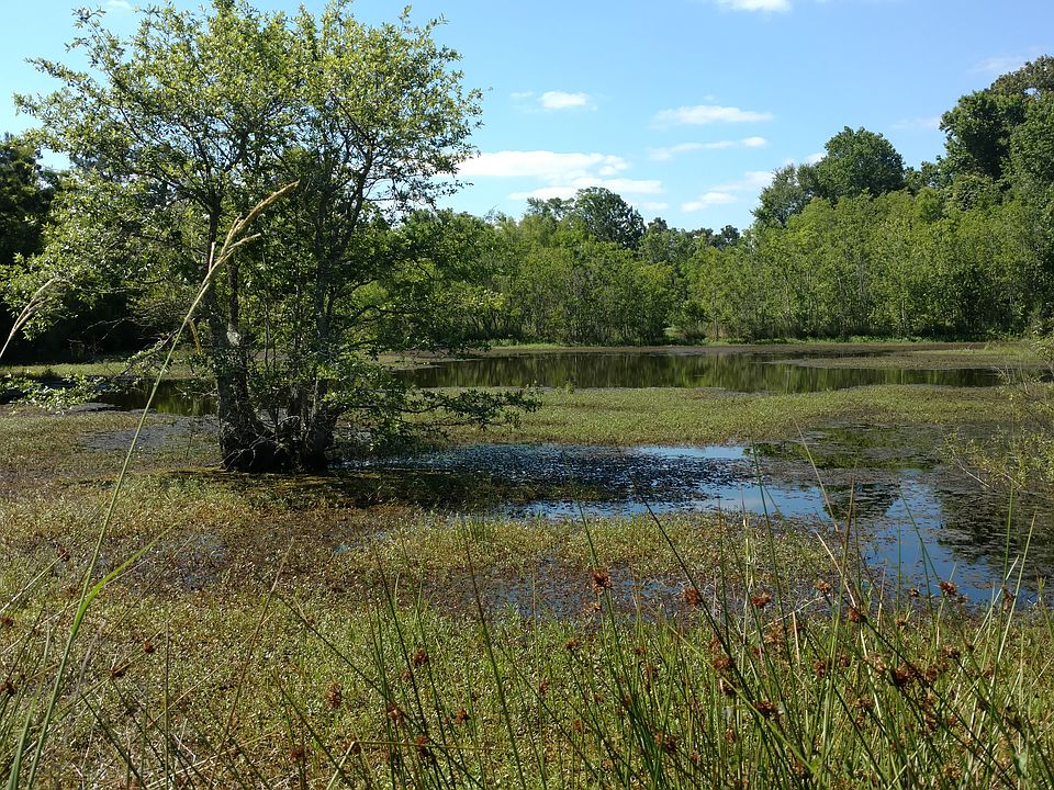 2nd image of 3560 Highway 1131