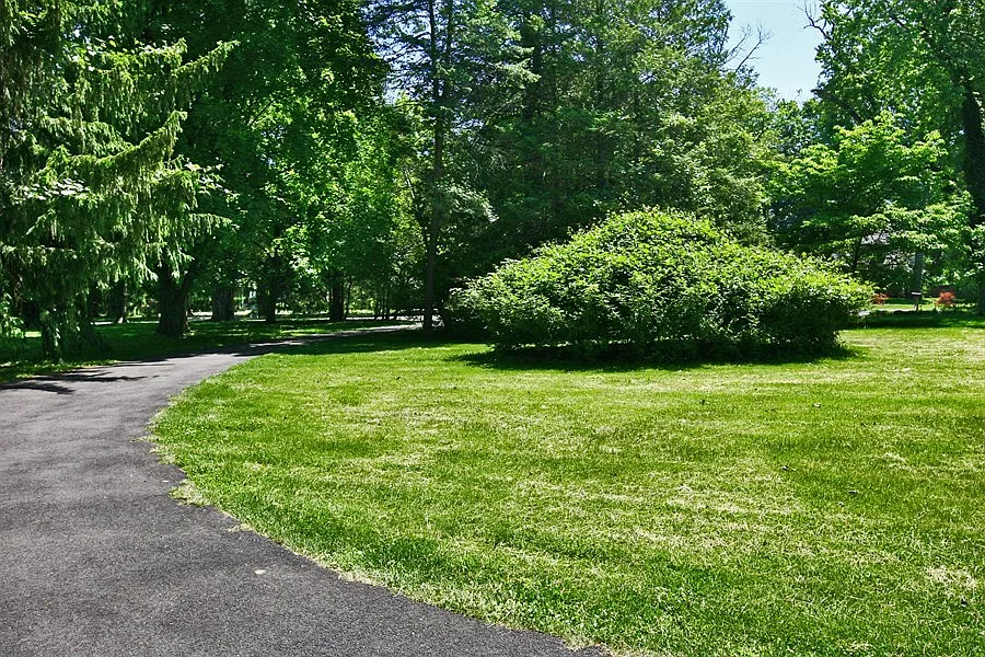 36 Sunrise Pl photo 1