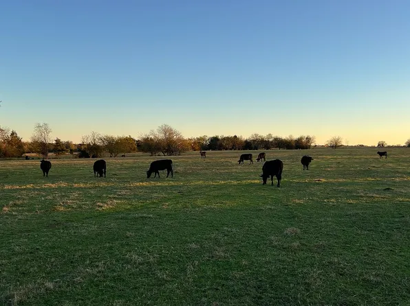 0 NW County Rd #1013, Mount Vernon, TX 75457