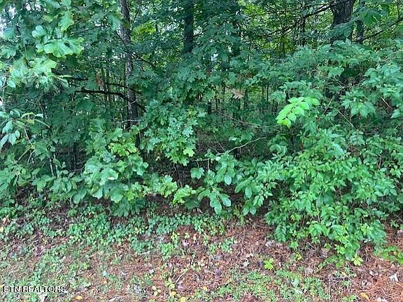 4th image of Creekway Dr