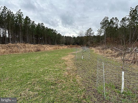 3rd image of 0 Owens Rd