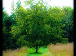 239 Bell Farm Rd, Statesville, NC 28625