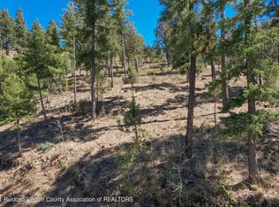 217 Chelsea Dr, Ruidoso, NM 88345