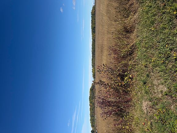 3rd image of PARCEL 4 S Steele Rd