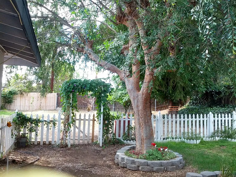 3011 Wendell Way — Photo 21