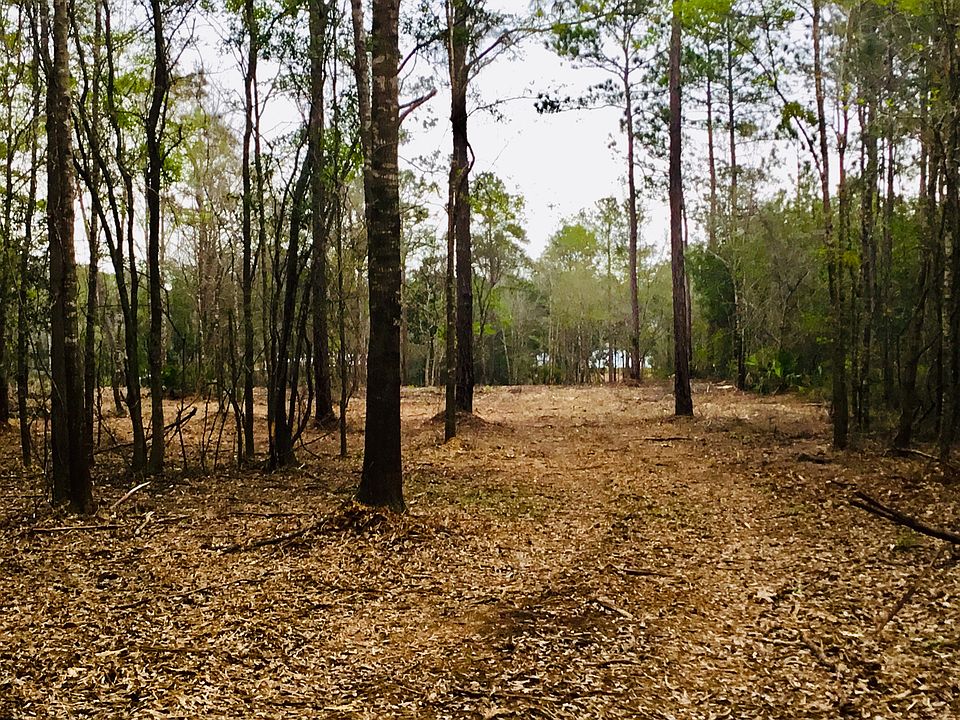 Beautiful lot on Fowl River