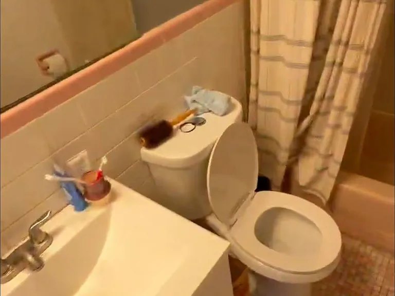 11 Commonwealth Ct #11 — Photo 14