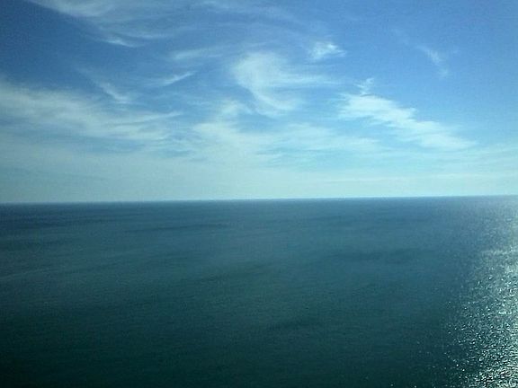 View From Living Room
						:
						See this Every Day