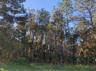 10448 Wood Owl Ave, Weeki Wachee, FL 34614