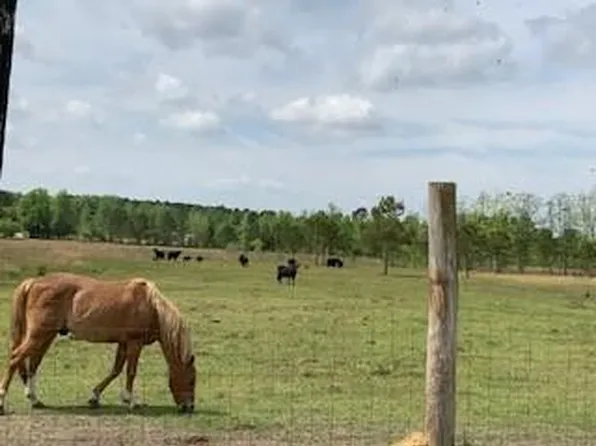 Moses Dingle Rd, Summerton, SC 29148