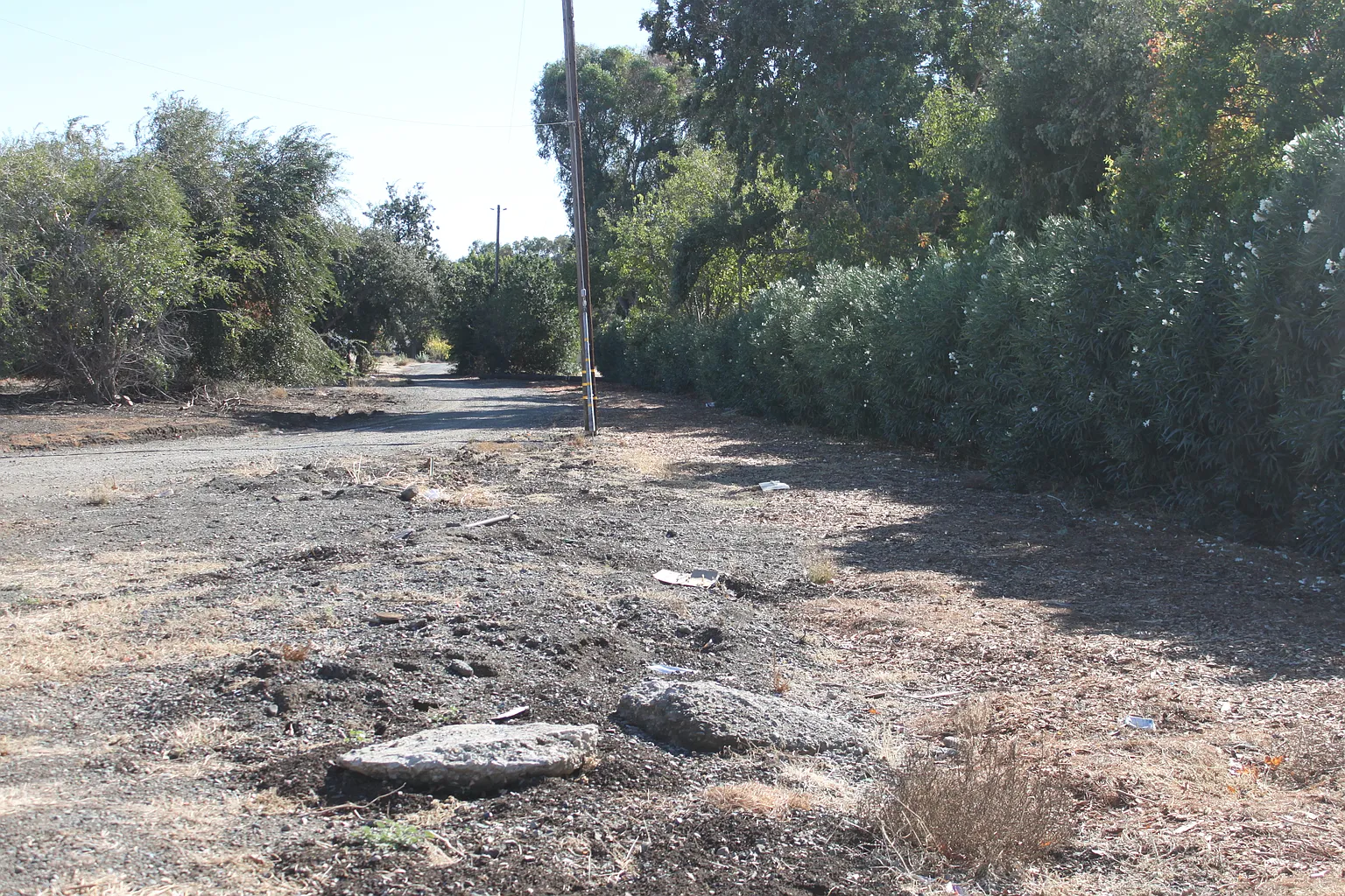 Lone Tree Way photo 1
