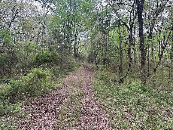 2nd image of 226 Butler Pool Rd Lot 1