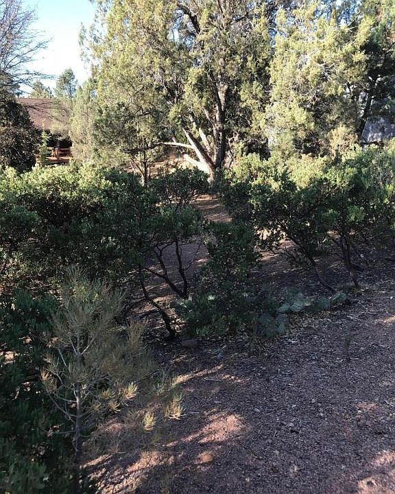 2nd image of 509 W Saint Moritz Dr