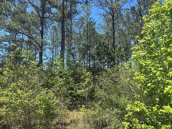 2nd image of LOT 39 Carter Ranch Rd Lot 39