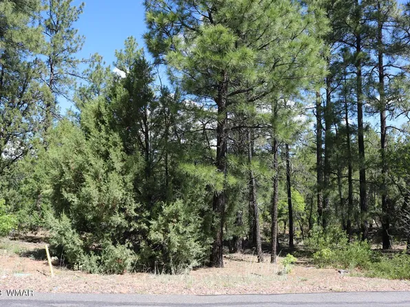 1441 S Vine Maple Ln, Show Low, AZ 85901