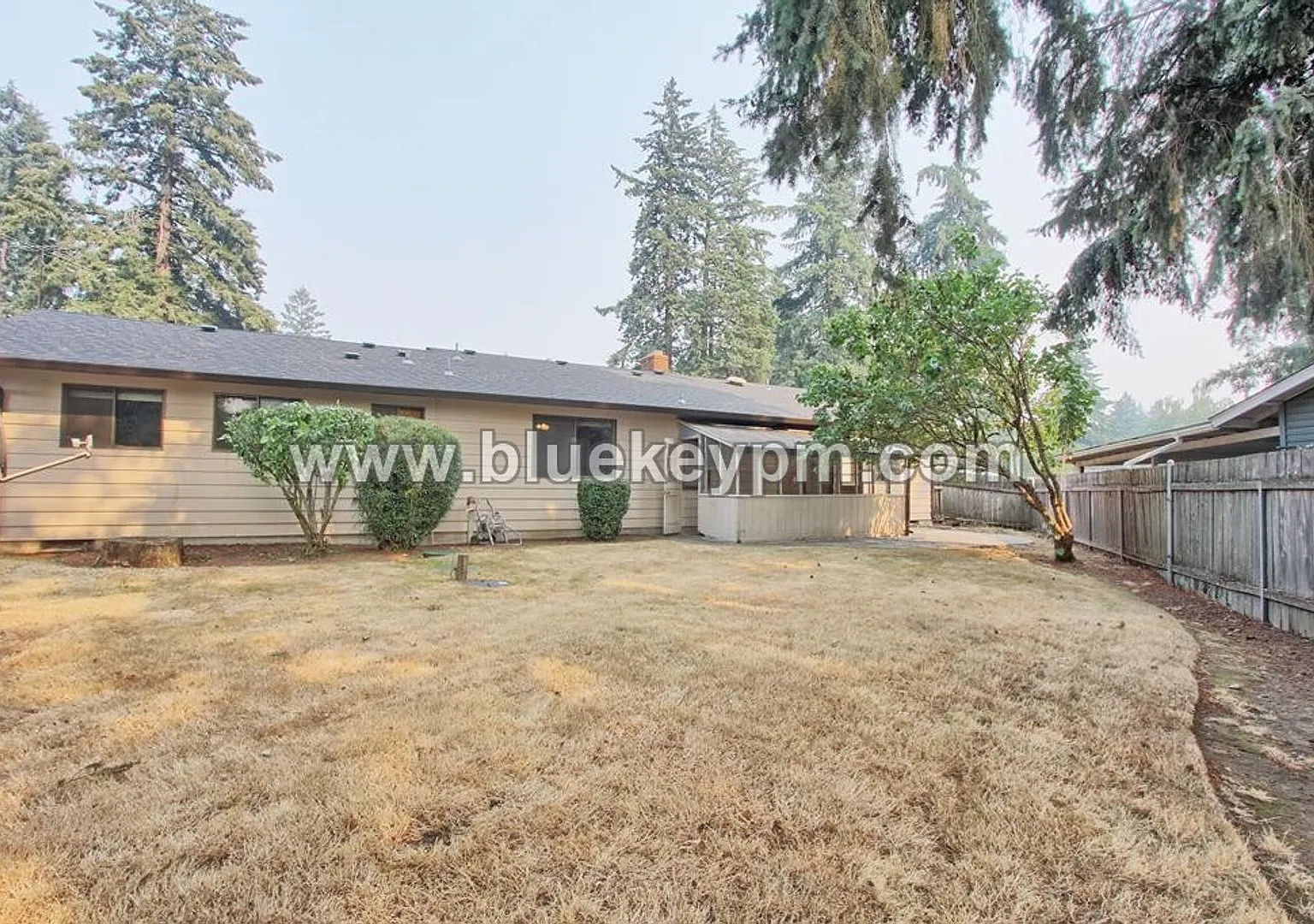 3 Bed/ 2 Bath Home Near Legacy High School and Firstenburg Community Center — Photo 3