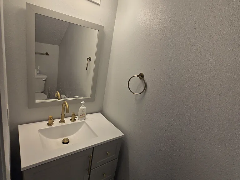 3911 Oak Limb Ct — Photo 5