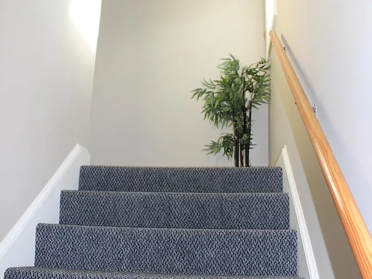 187 Elm St #2 — Photo 2