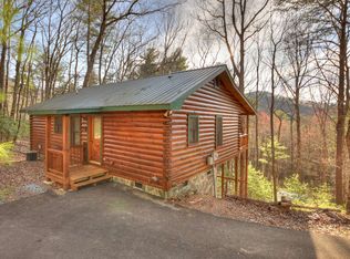 232 Pig Trail, Cherry Log, GA 30522