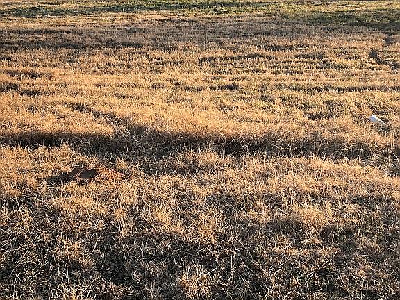 1.8 acres Gilbert Road