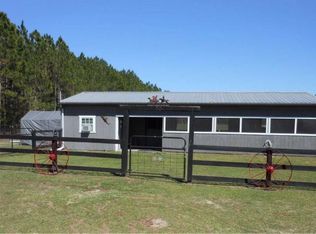 1953 NE Thalia Rd, Mayo, FL 32066