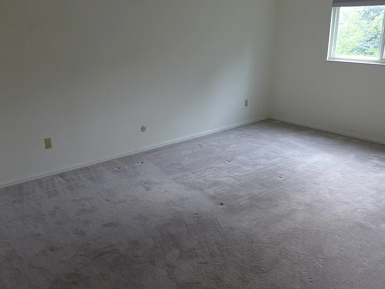 1466 Fillmore Pl #1 — Photo 5